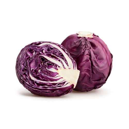 Cabbage Red 1 piece