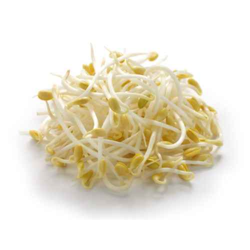 Bean Sprouts 250g