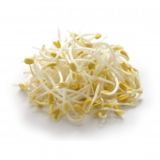 Bean Sprouts 250g