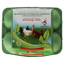 Al Jazira Eco & Veg. Fed Hen Brown Eggs 6