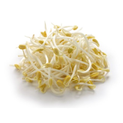 Bean Sprouts 250g