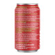 Rubicon Pomegranate Sparkling Juice 330ml